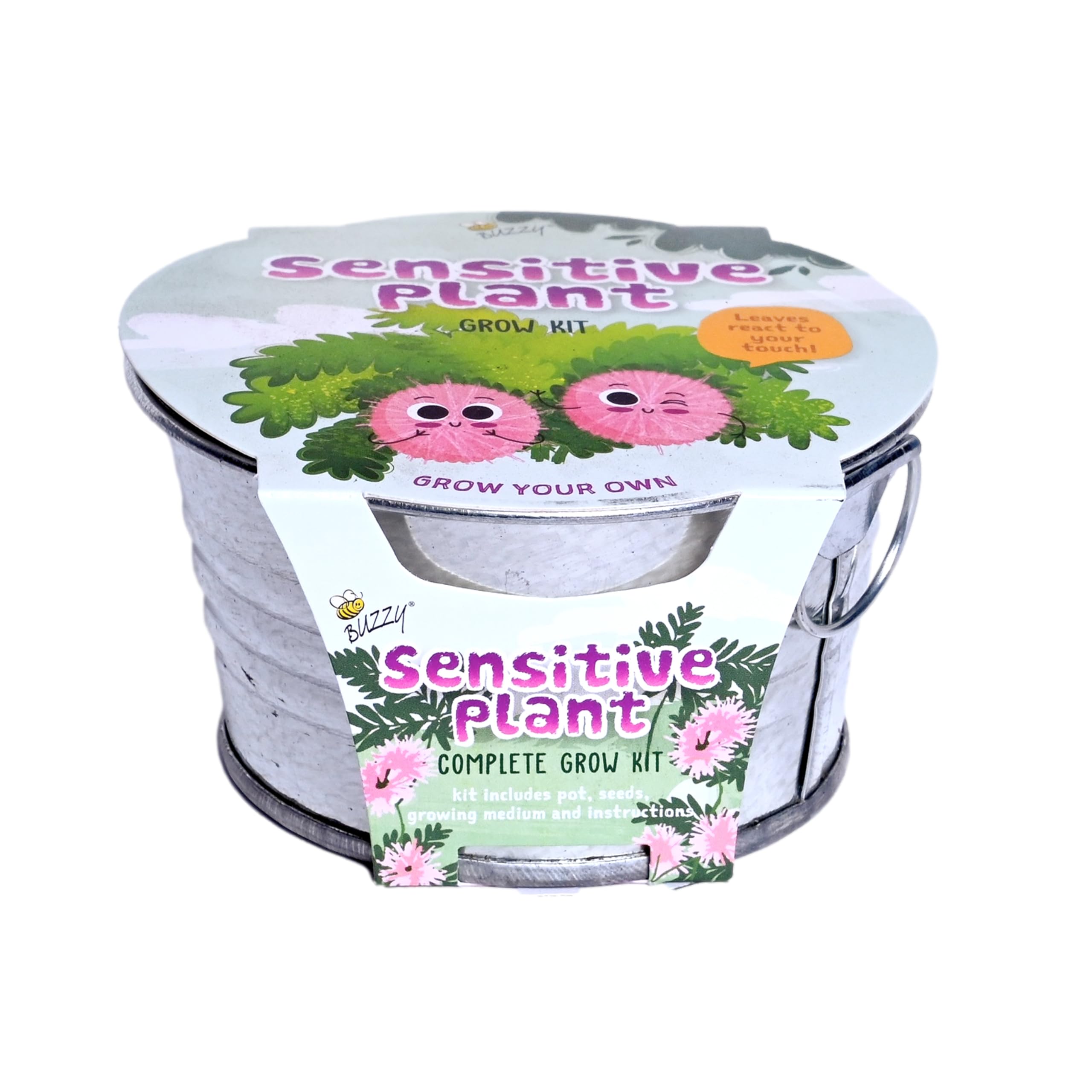 Moisteane スタートキット（おまけ付き） Amazon.com: Buzzy Seeds Sensitive Plant Grow Kit, Metal Basin